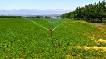 DSİ Genel Müdürü Balta: 'Malatya'da sulama ile ekonomiye 17,5 milyar TL katkı hedefleniyor'