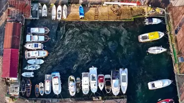 Marmara Denizi'nde Müsilaj Tehdidi