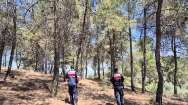 Aydın'da Orman Yangınlarına Karşı Önlemler Artıyor