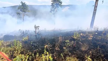 Kütahya'da Orman Yangını Kısa Sürede Söndürüldü