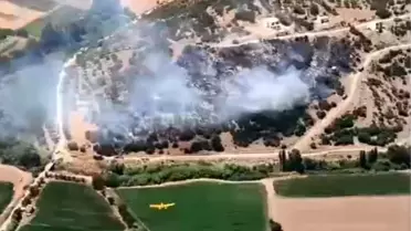 Milas'ta Tarım Alanında Yangın Kontrol Altında