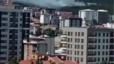 Pendik Aydos Ormanı'nda Yangın Kontrol Altında