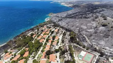 İzmir'de Orman Yangınlarında Rekor Zarar