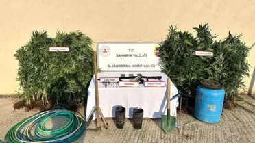 Hendek'te Uyuşturucu Operasyonu