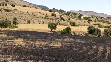 Çemişgezek'te Arazi Yangını