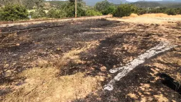 Bilecik’te Anız Yangını Hızla Kontrol Altına Alındı