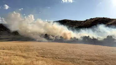 Bitlis'te Buğday Tarlasında Yangın
