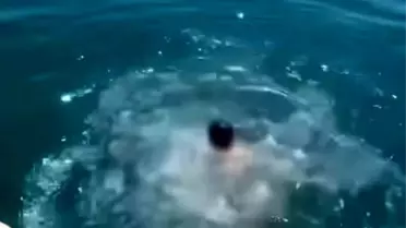 Bulancak'ta Çocuk Kurtarıldı