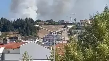 Urla'da Orman Yangını