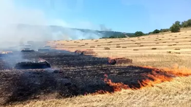 Balıkesir'de Yangın Kontrol Altında