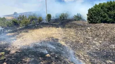 Bingöl'de örtü yangını kontrol altına alındı