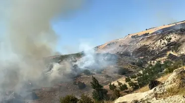 Besni'de Korkutan Yangın Kontrol Altına Alındı