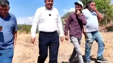 Gediz'de 2025 Buğday Hasat Dönemi Başladı