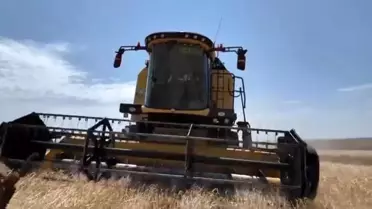 Kars'ta Arpa Hasadı Başladı
