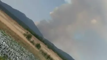Konya'da Orman Yangını