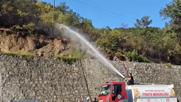 Zonguldak'ta Yangın: Kurumuş Ağaç Elektrik Tellerini Kırdı