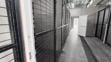 Kütahya'da Sokak Hayvanları İçin Yeni Yaşam Alanları