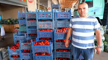 Domates Fiyatları Düştü, Talep Yok