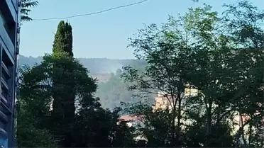 Sarıyer'de Orman Yangını Kısa Sürede Söndürüldü