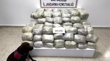 Başkale'de 70 Kilo Skunk Ele Geçirildi