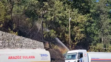 Zonguldak'ta örtü yangını kontrol altına alındı