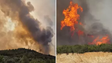 3 ilde orman yangını! Alevlerin ulaştığı çok sayıda mahalle boşaltılıyor