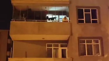 Balkondan Düşen Kadın Hayatını Kaybetti