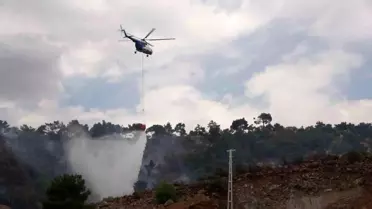 Adıyaman'da Orman Yangını
