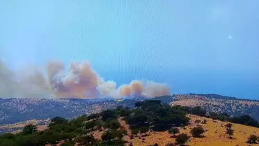 Çanakkale'de Orman Yangınına Müdahale