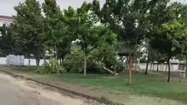 Batman'da Fırtına: Çatı Uçtu, Ağaçlar Devrildi