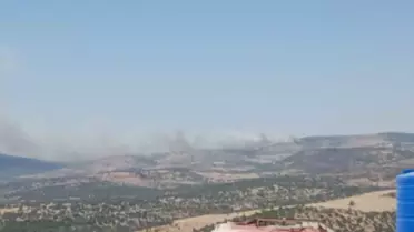 Çanakkale'de Orman Yangını