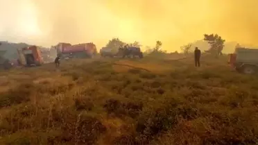 Kocaeli'nin Gebze İlçesinde Orman Yangını Söndürme Çalışmaları Devam Ediyor