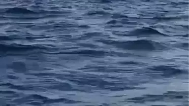 Heybeliada'da Tekne Kazası