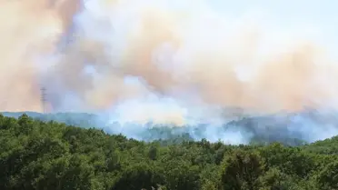 Orman Yangınına Hava ve Kara Müdahalesi