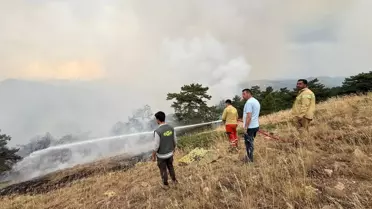 Doğanhisar'da Orman Yangını: 1 Gözaltı