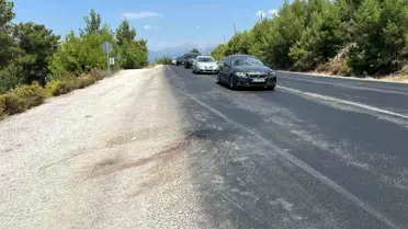 Yaya Otobüs Çarpmasıyla Hayatını Kaybetti