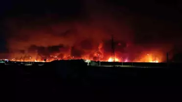 Şarköy'de Orman Yangını Paniğe Neden Oldu