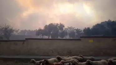 Şarköy'de Yangın Büyüyor