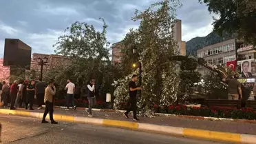 457 Yaşındaki Anıt Ağaç Rüzgarla Devrildi: Bir Yaralı
