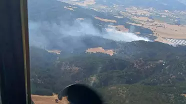 Bolu'da Orman Yangını