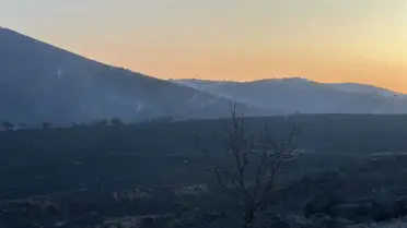 Çanakkale'de Orman Yangını: Ekipler Müdahaleye Devam Ediyor