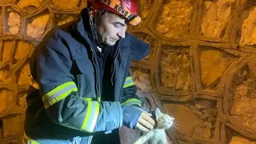 Antakya'da Yavru Kedi İtfaiye Ekipleri Tarafından Kurtarıldı