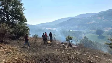 Balıkesir'de Arazi ve Anız Yangını Kontrol Altına Alındı