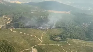 Muğla'daki Orman Yangını Kontrol Altına Alındı