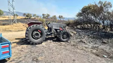 Şarköy'de Orman Yangını Zarara Yol Açtı