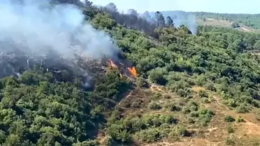 Sultangazi Kent Ormanı'nda Yangın