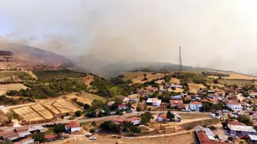 Şarköy'de Orman Yangını
