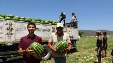Osmaneli Karpuzunun Fiyatı Üreticiyi Üzüyor