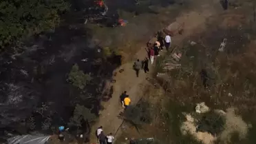 Yalova'da arazi yangını! Köy halkı da söndürme çalışmalarına destek verdi