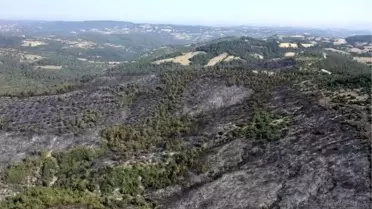 Balıkesir'de Yangına Havadan Müdahale